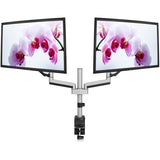 V7 DM1DTA-1N Desk Mount for Monitor - Silver