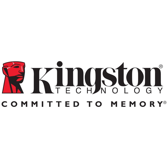 Kingston 256MB DDR SDRAM Memory Module