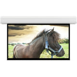 Da-Lite Large Advantage Electrol 271" Electric Projection Screen