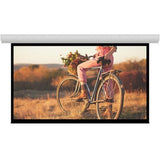 Da-Lite Contour Electrol 150" Electric Projection Screen