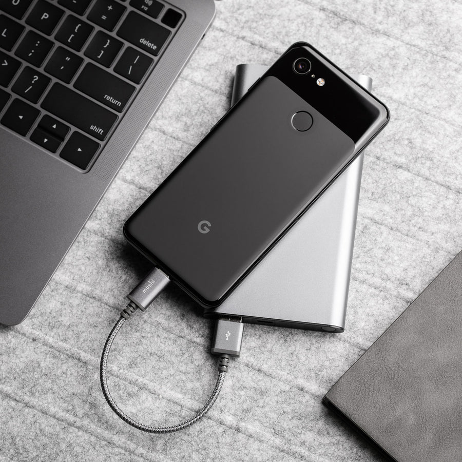 Moshi Integra USB-C to USB Charge Cable