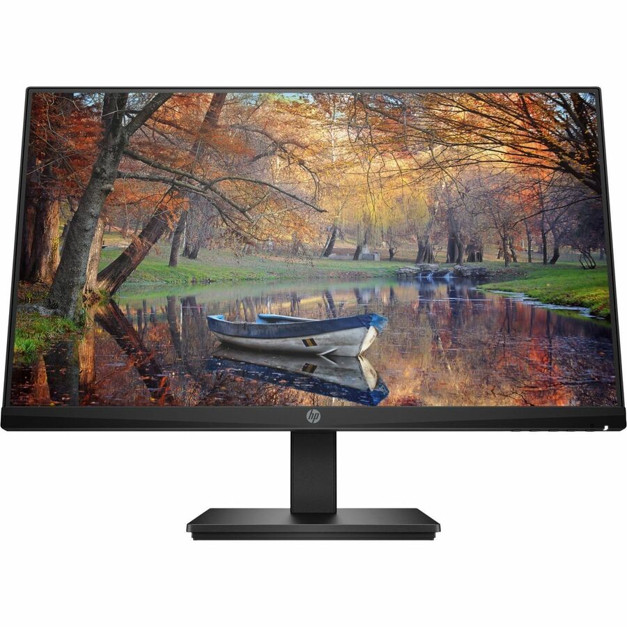 HP P24a G4 24" Class Full HD LCD Monitor - 16:9 - Black