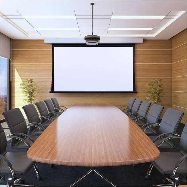 Draper Acumen V Projection Screen 117"