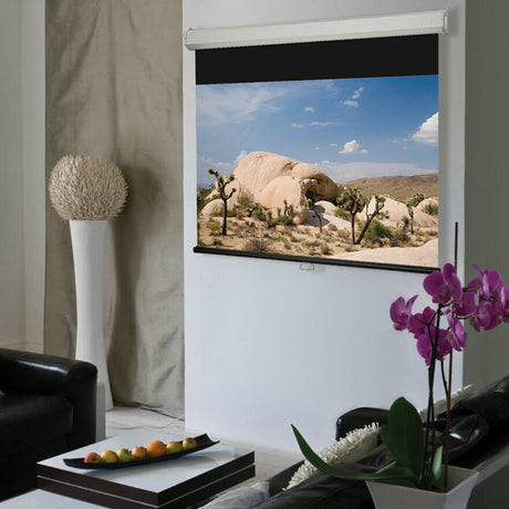 Draper Luma 2 Heavy-duty Projector Screen