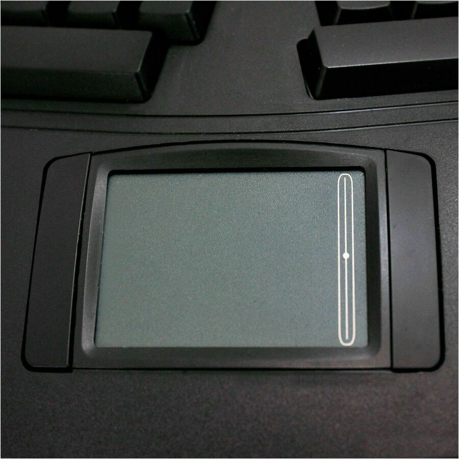 232008193.jpg