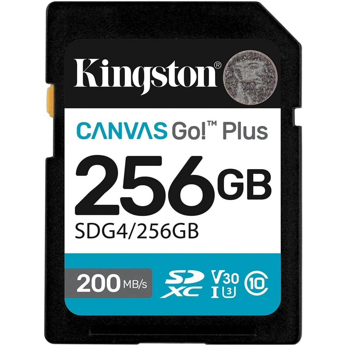 232022934.jpg