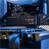 232023184.jpg