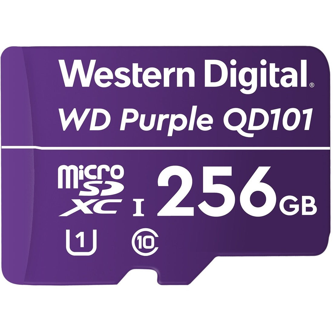 232024665.jpg