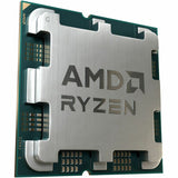 232026431.jpg