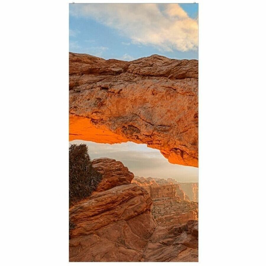 290238085.jpg