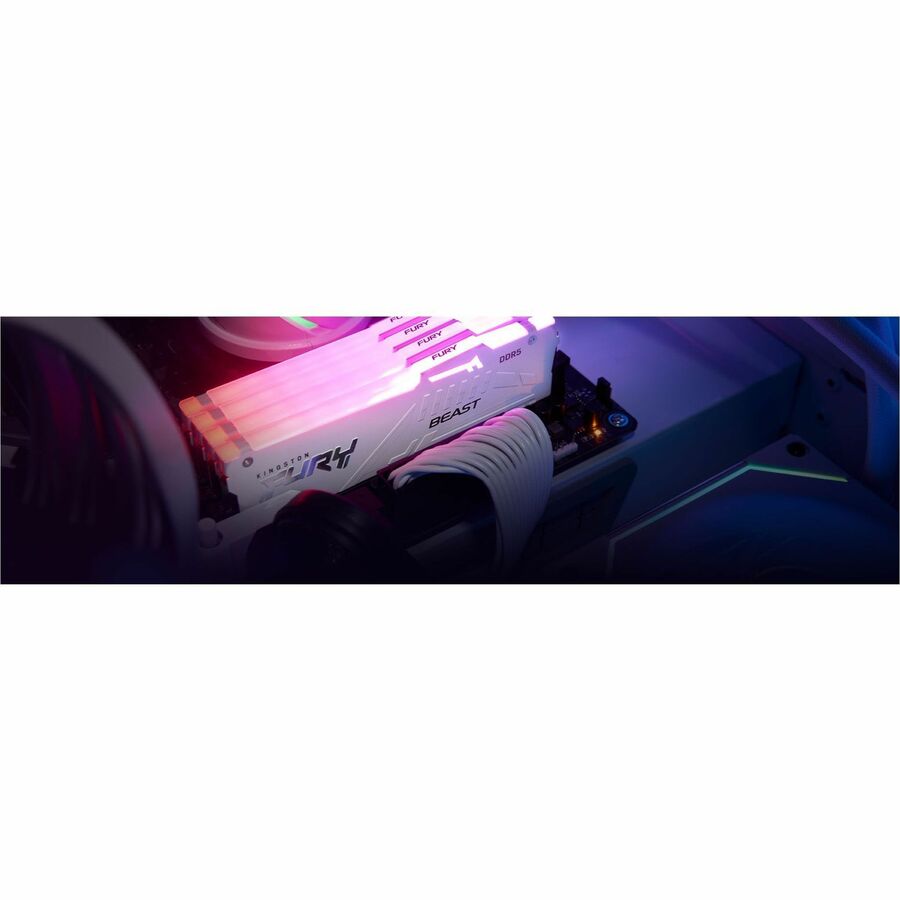 232037342.jpg