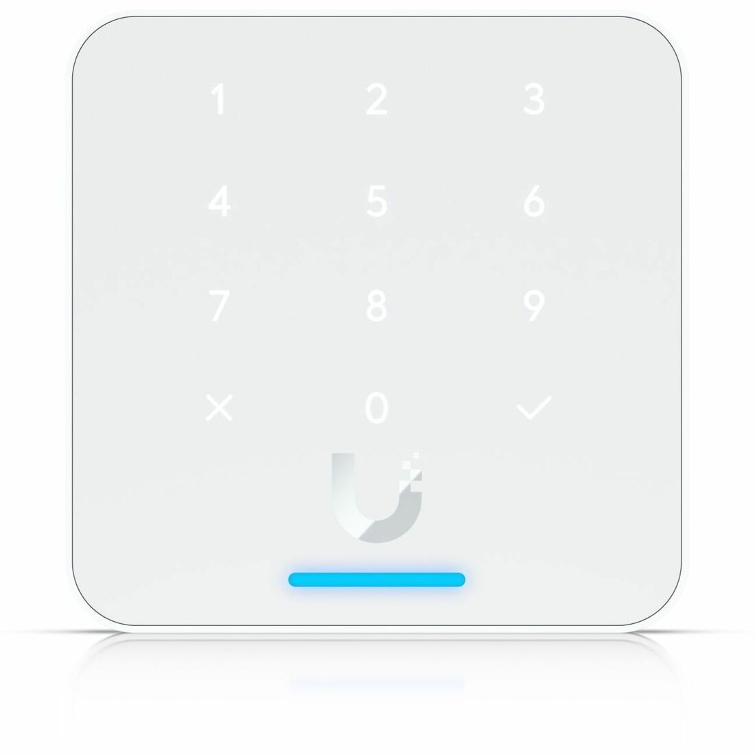 290243845.jpg