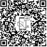 232042266.jpg