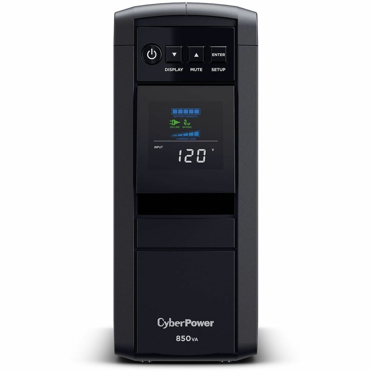290250006.jpg