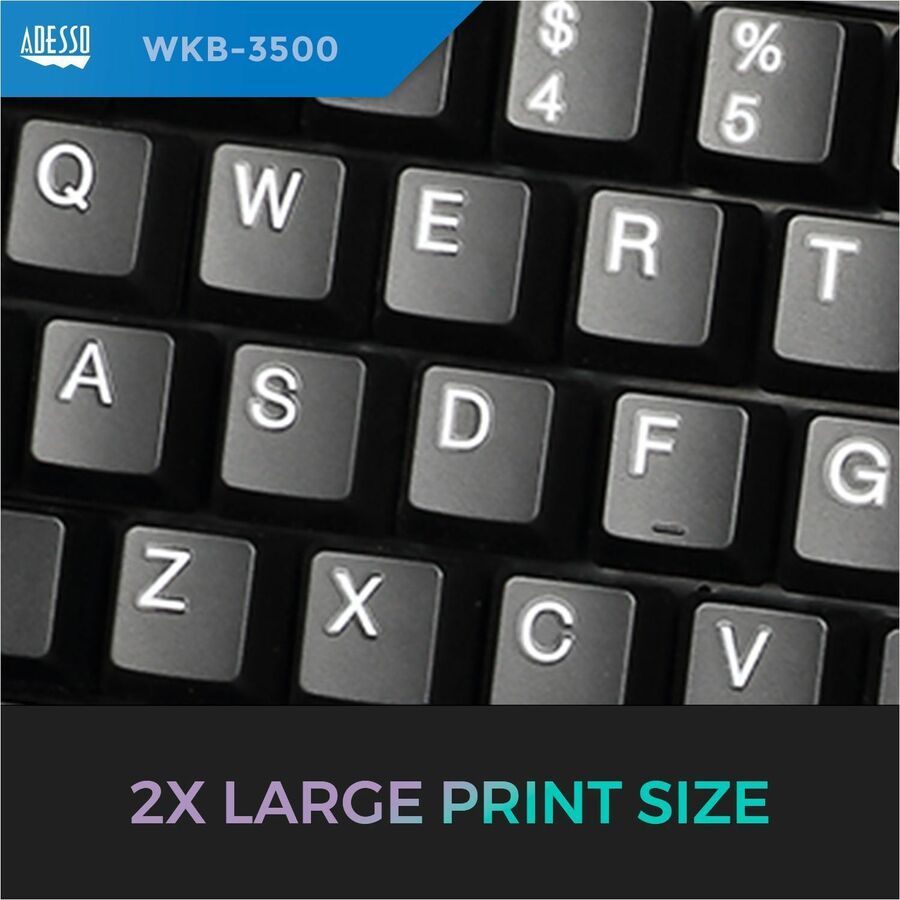 232045600.jpg