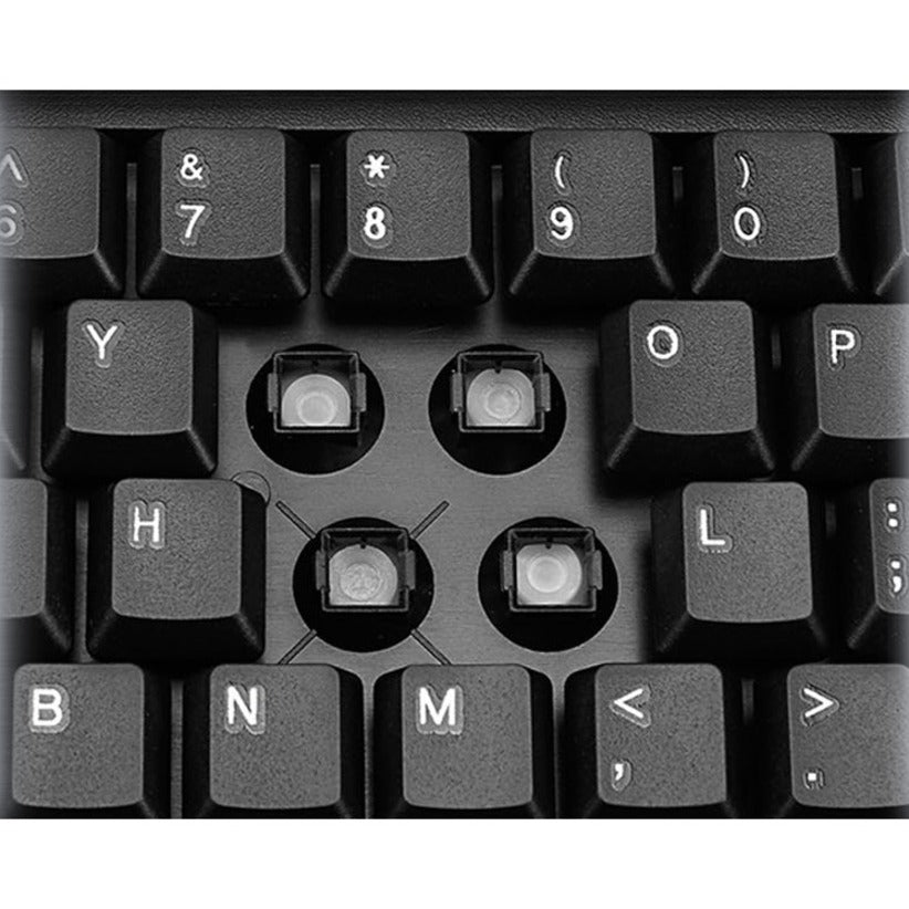 232051093.jpg
