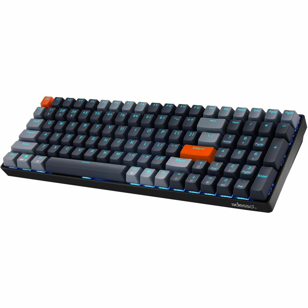 290259702.jpg