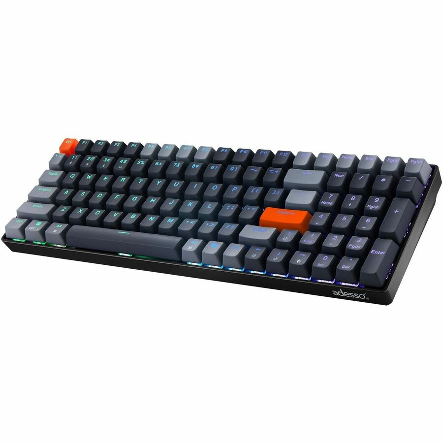 232054835.jpg