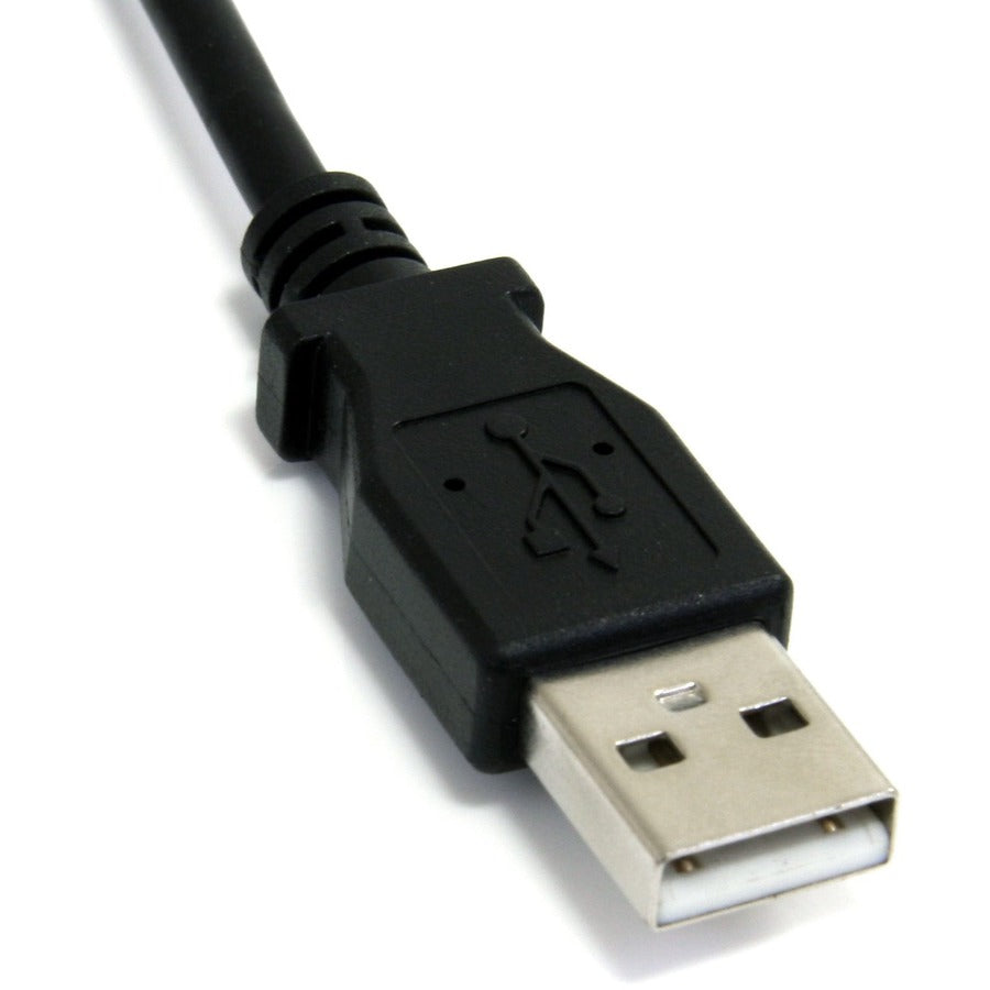 232055463.jpg