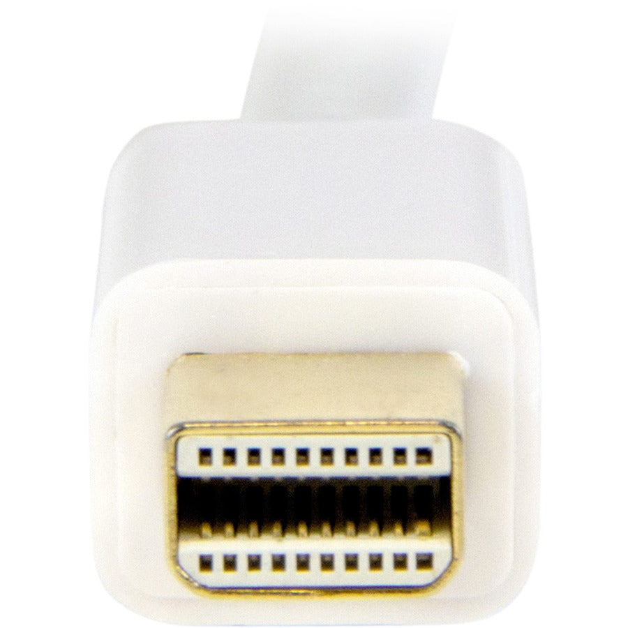 232055810.jpg