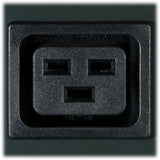 232061269.jpg