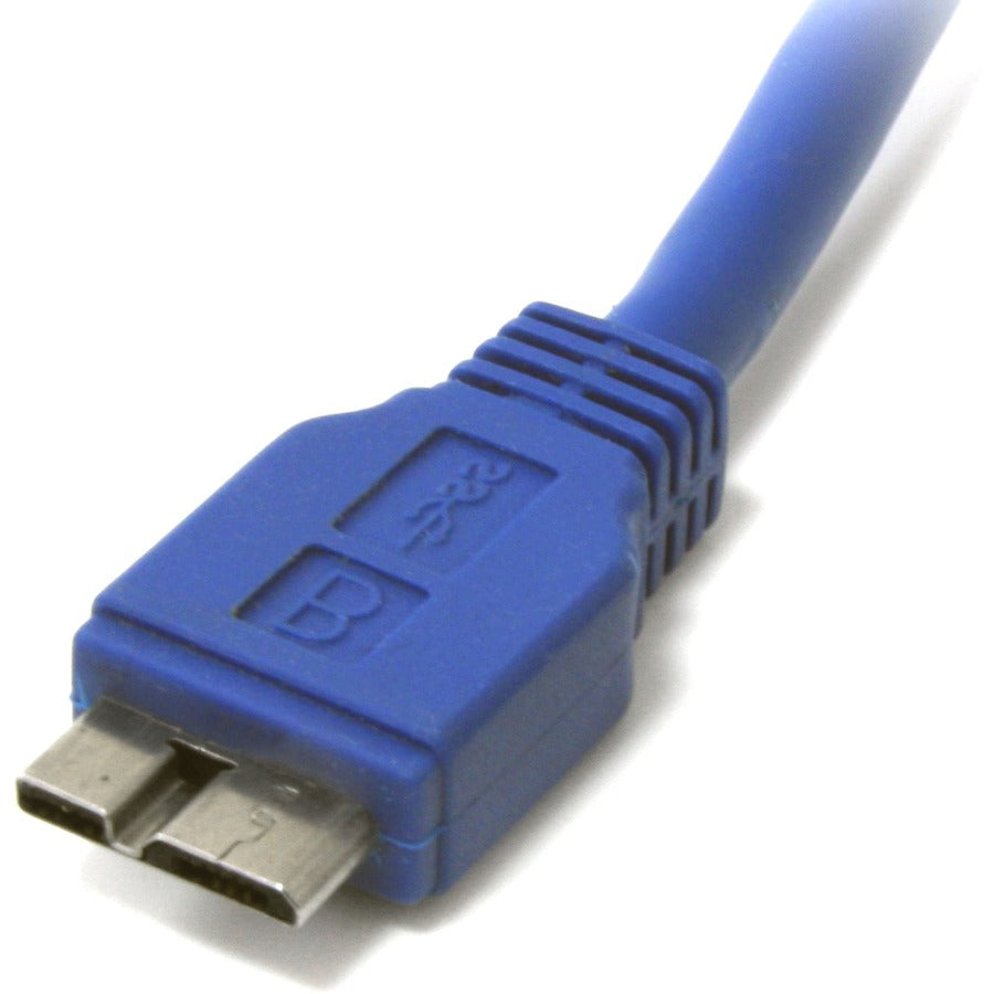 232066437.jpg