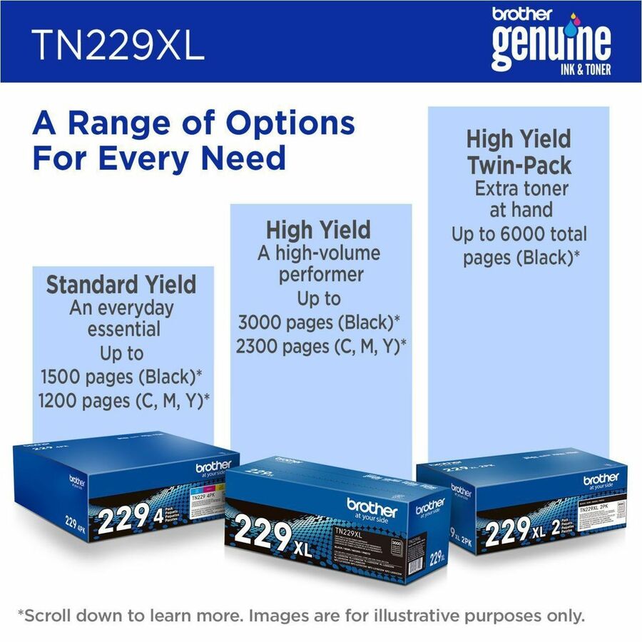 232085084.jpg