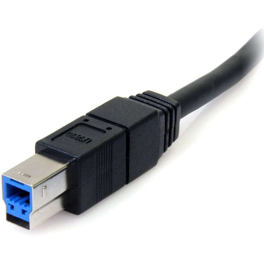 232109784.jpg