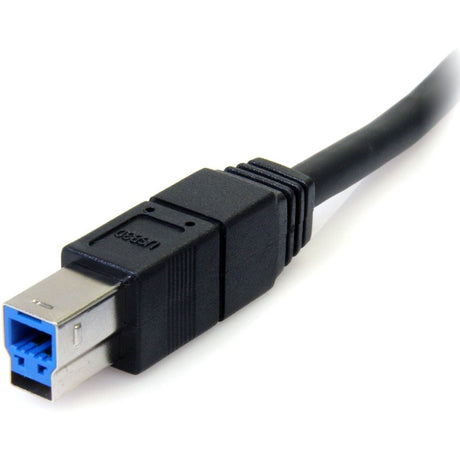 232109784.jpg