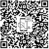 232109921.jpg