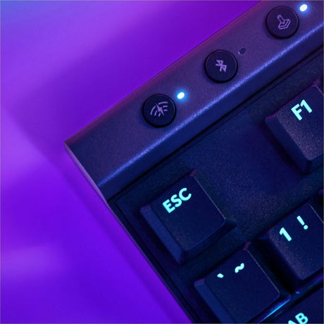 232123831.jpg