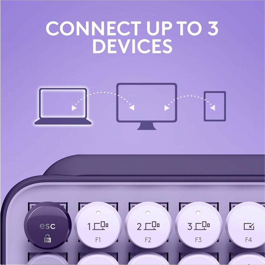 232148686.jpg
