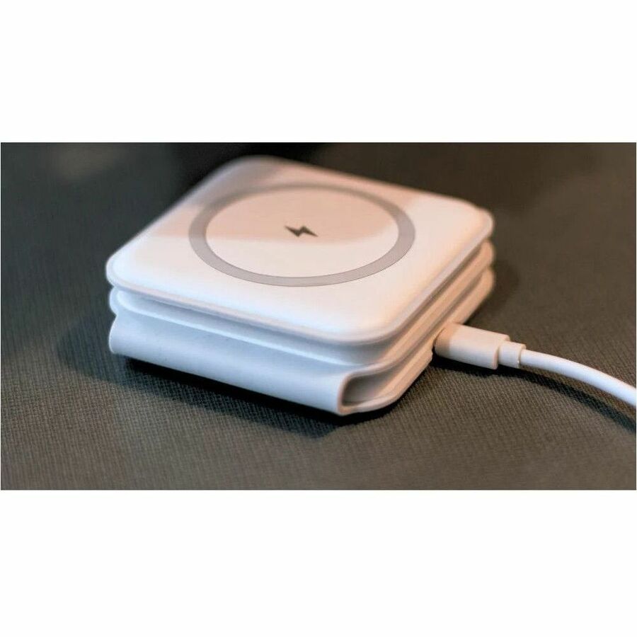 237417836.jpg